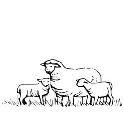 Coloring page: Sheep (Animals) #11415 - Free Printable Coloring Pages