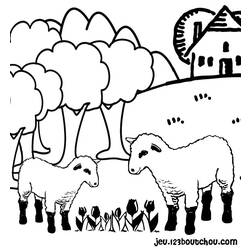 Coloring page: Sheep (Animals) #11416 - Free Printable Coloring Pages