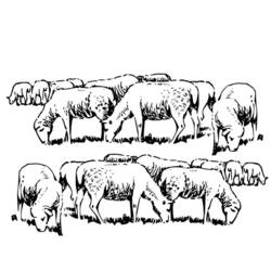 Coloring page: Sheep (Animals) #11504 - Free Printable Coloring Pages