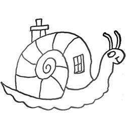 Coloring page: Snail (Animals) #6506 - Free Printable Coloring Pages