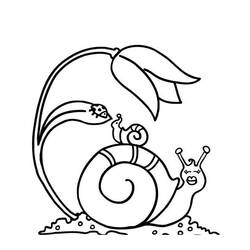 Coloring page: Snail (Animals) #6526 - Free Printable Coloring Pages