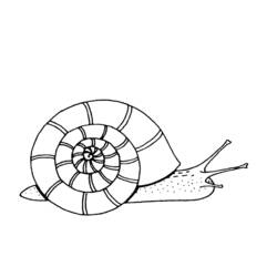 Coloring page: Snail (Animals) #6619 - Free Printable Coloring Pages