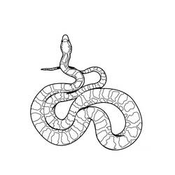 Coloring page: Snake (Animals) #14337 - Free Printable Coloring Pages