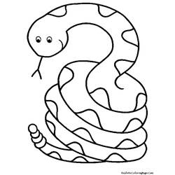 Coloring page: Snake (Animals) #14340 - Free Printable Coloring Pages