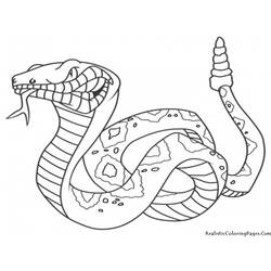 Coloring page: Snake (Animals) #14342 - Free Printable Coloring Pages
