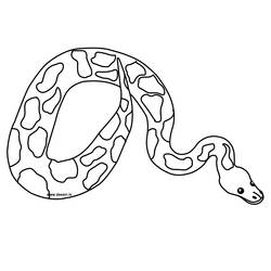 Coloring page: Snake (Animals) #14352 - Free Printable Coloring Pages