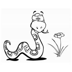Coloring page: Snake (Animals) #14356 - Free Printable Coloring Pages