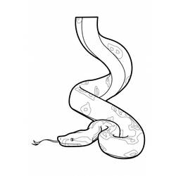 Coloring page: Snake (Animals) #14382 - Free Printable Coloring Pages