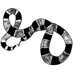 Coloring page: Snake (Animals) #14426 - Free Printable Coloring Pages