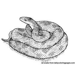 Coloring page: Snake (Animals) #14428 - Free Printable Coloring Pages