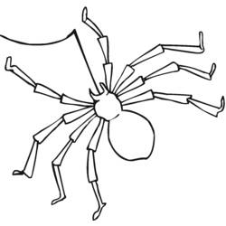 Coloring page: Spider (Animals) #597 - Free Printable Coloring Pages