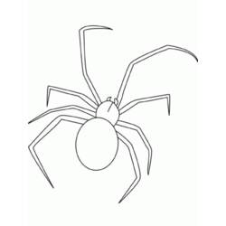 Coloring page: Spider (Animals) #613 - Free Printable Coloring Pages