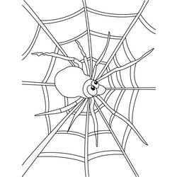 Coloring page: Spider (Animals) #648 - Free Printable Coloring Pages