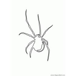 Coloring page: Spider (Animals) #649 - Free Printable Coloring Pages