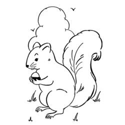 Coloring page: Squirrel (Animals) #6107 - Free Printable Coloring Pages