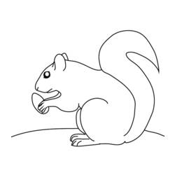 Coloring page: Squirrel (Animals) #6132 - Free Printable Coloring Pages