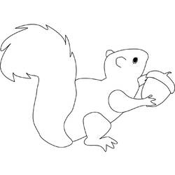 Coloring page: Squirrel (Animals) #6157 - Free Printable Coloring Pages
