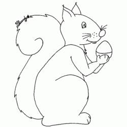 Coloring page: Squirrel (Animals) #6183 - Free Printable Coloring Pages