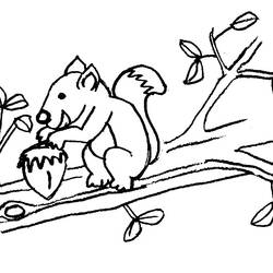 Coloring page: Squirrel (Animals) #6194 - Free Printable Coloring Pages