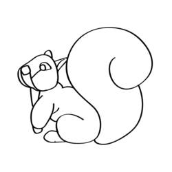 Coloring page: Squirrel (Animals) #6222 - Free Printable Coloring Pages