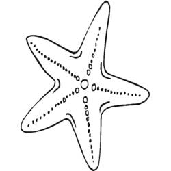 Coloring page: Starfish (Animals) #6700 - Free Printable Coloring Pages