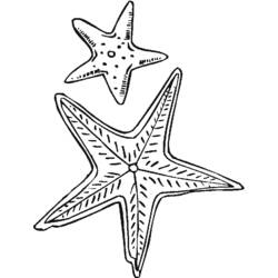 Coloring page: Starfish (Animals) #6708 - Free Printable Coloring Pages