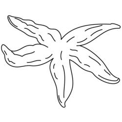 Coloring page: Starfish (Animals) #6713 - Free Printable Coloring Pages