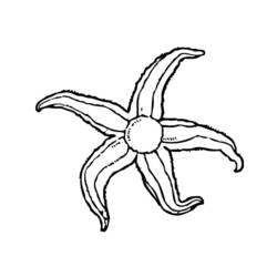 Coloring page: Starfish (Animals) #6769 - Free Printable Coloring Pages