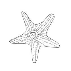 Coloring page: Starfish (Animals) #6771 - Free Printable Coloring Pages