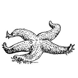 Coloring page: Starfish (Animals) #6787 - Free Printable Coloring Pages