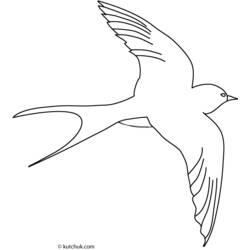 Coloring page: Swallow (Animals) #8811 - Free Printable Coloring Pages