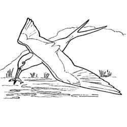 Coloring page: Swallow (Animals) #8838 - Free Printable Coloring Pages