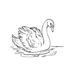 Coloring page: Swan (Animals) #4992 - Free Printable Coloring Pages
