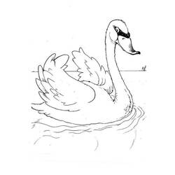 Coloring page: Swan (Animals) #5000 - Free Printable Coloring Pages