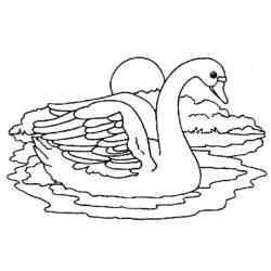 Coloring page: Swan (Animals) #5014 - Free Printable Coloring Pages