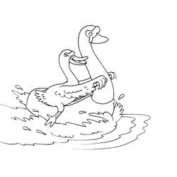 Coloring page: Swan (Animals) #5023 - Free Printable Coloring Pages