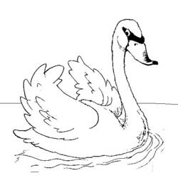 Coloring page: Swan (Animals) #5024 - Free Printable Coloring Pages