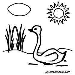 Coloring page: Swan (Animals) #5042 - Free Printable Coloring Pages