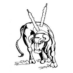Coloring page: Taurus (Animals) #13836 - Free Printable Coloring Pages