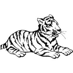 Coloring page: Tiger (Animals) #13597 - Free Printable Coloring Pages