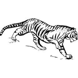 Coloring page: Tiger (Animals) #13613 - Free Printable Coloring Pages