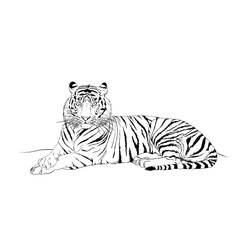 Coloring page: Tiger (Animals) #13676 - Free Printable Coloring Pages