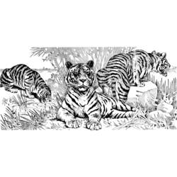 Coloring page: Tiger (Animals) #13691 - Free Printable Coloring Pages