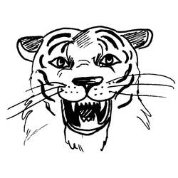 Coloring page: Tiger (Animals) #13716 - Free Printable Coloring Pages