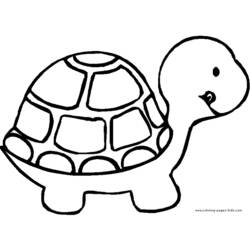 Coloring page: Tortoise (Animals) #13388 - Free Printable Coloring Pages