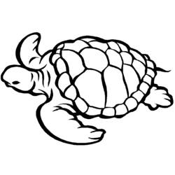 Coloring page: Tortoise (Animals) #13390 - Free Printable Coloring Pages
