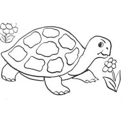 Coloring page: Tortoise (Animals) #13391 - Free Printable Coloring Pages