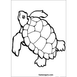 Coloring page: Tortoise (Animals) #13429 - Free Printable Coloring Pages