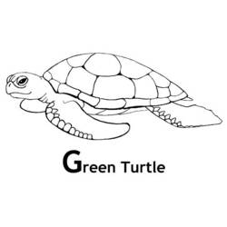 Coloring page: Tortoise (Animals) #13447 - Free Printable Coloring Pages
