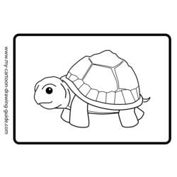 Coloring page: Tortoise (Animals) #13466 - Free Printable Coloring Pages
